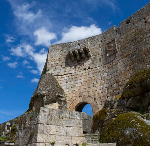 学习中文，让我的生活充满乐趣（我和中国的故事）