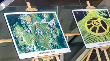 大咖话川酒丨大咖云集共话“好粮酿好酒”