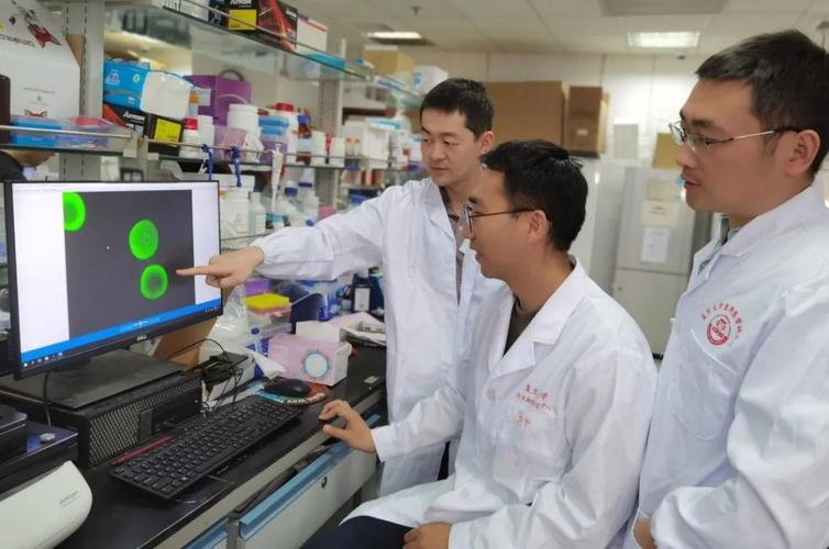 人类独特生殖机制揭示