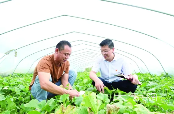 于道伟:“一红一绿”绘出产业富民多彩画卷