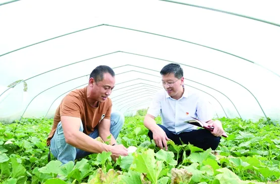 于道伟：“一红一绿”绘出产业富民多彩画卷