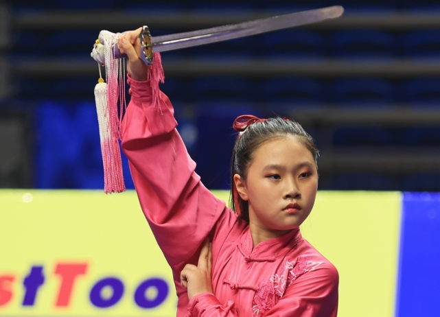 2024年全国太极拳公开赛（南部赛区）焦作开赛