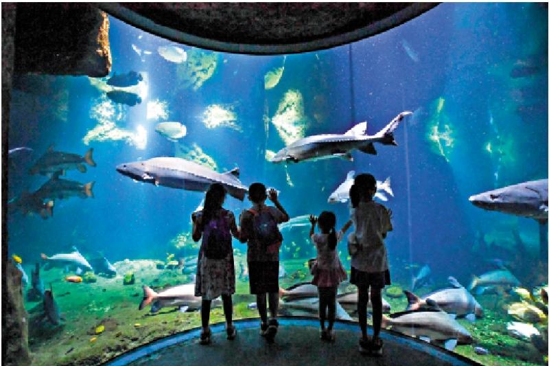 珠海發布4條精品旅遊線迎台胞