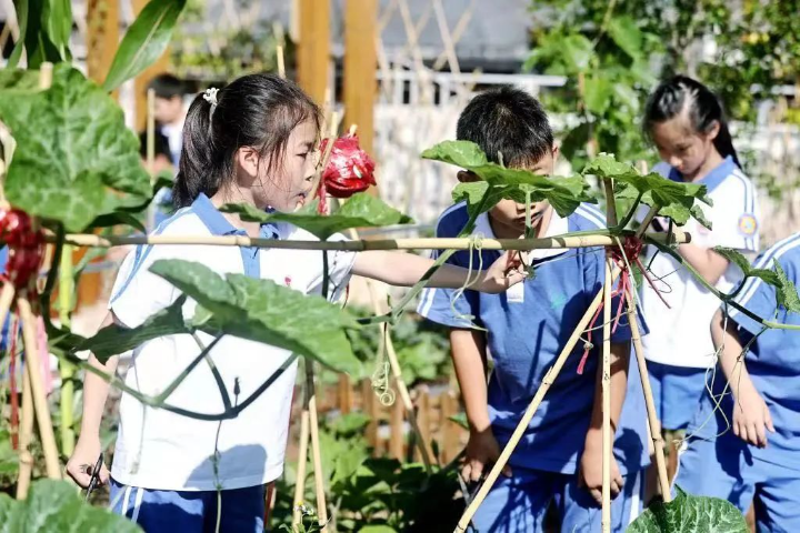 深圳南山：“一校一品”让劳动教育百花争艳