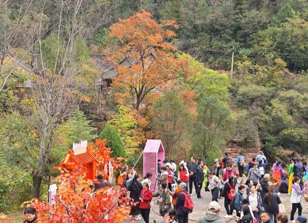 2024 秋沟．齐王寨红叶节：绚烂开启，欢乐赏秋