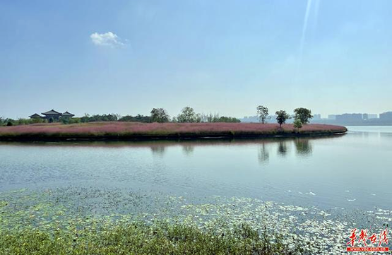 【美麗新湖南 書寫新答卷】湖水變清 廢水重生 長沙縣幸福河湖建設美麗蝶變