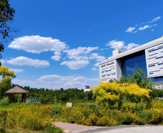 河北科技大学：校地牵手为县域产业添智增力