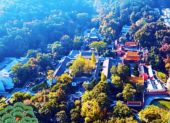 湖湘文化的璀璨坐標 湘菜文化的魅力綻放