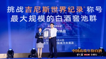 主动降速，因地制宜夯实基础，洋河股份深度调整穿越行业周期