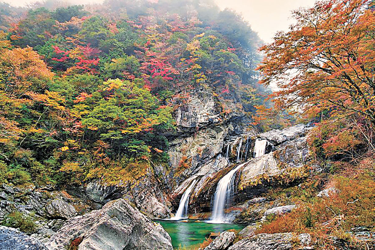 金秋遊日新選擇！「四國」自由行好去處推介