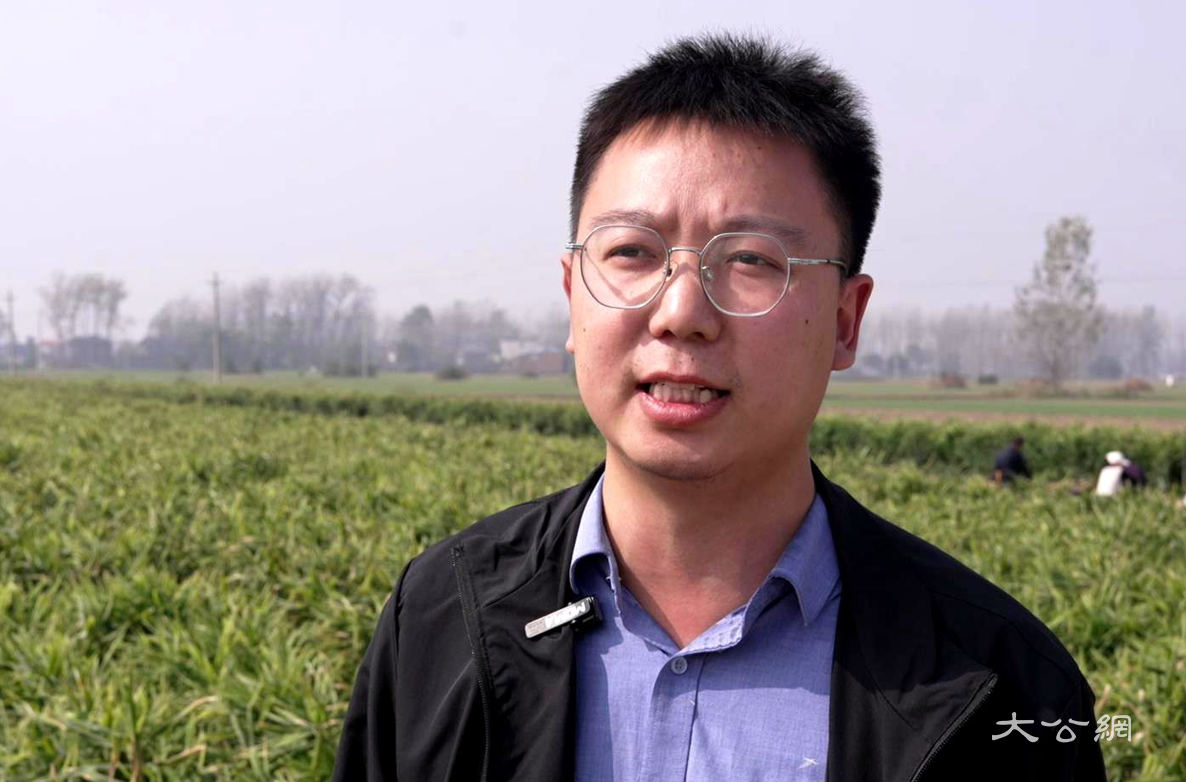 河南平舆县:沃土“姜”味浓 产业“新”向荣