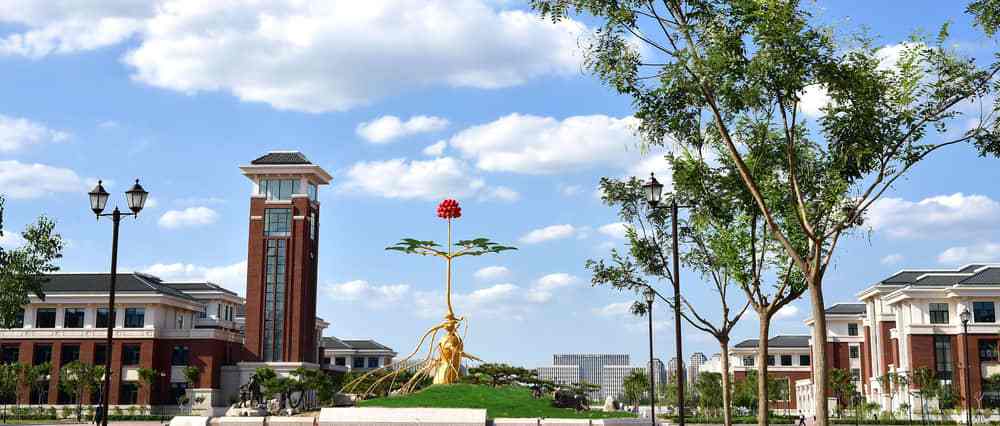 天津中医药大学：培育有责任敢担当的新时代中医药人才