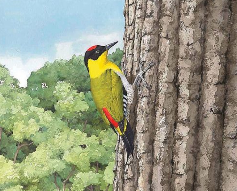 少儿科普读物如何有趣有料