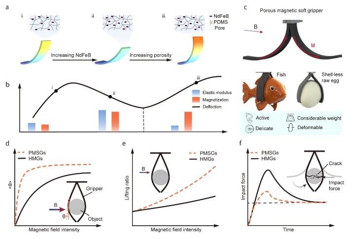 “AI+扩散动力学”研究取得进展