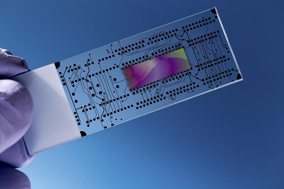 加强柔性电子拔尖创新人才自主培养（创新谈）