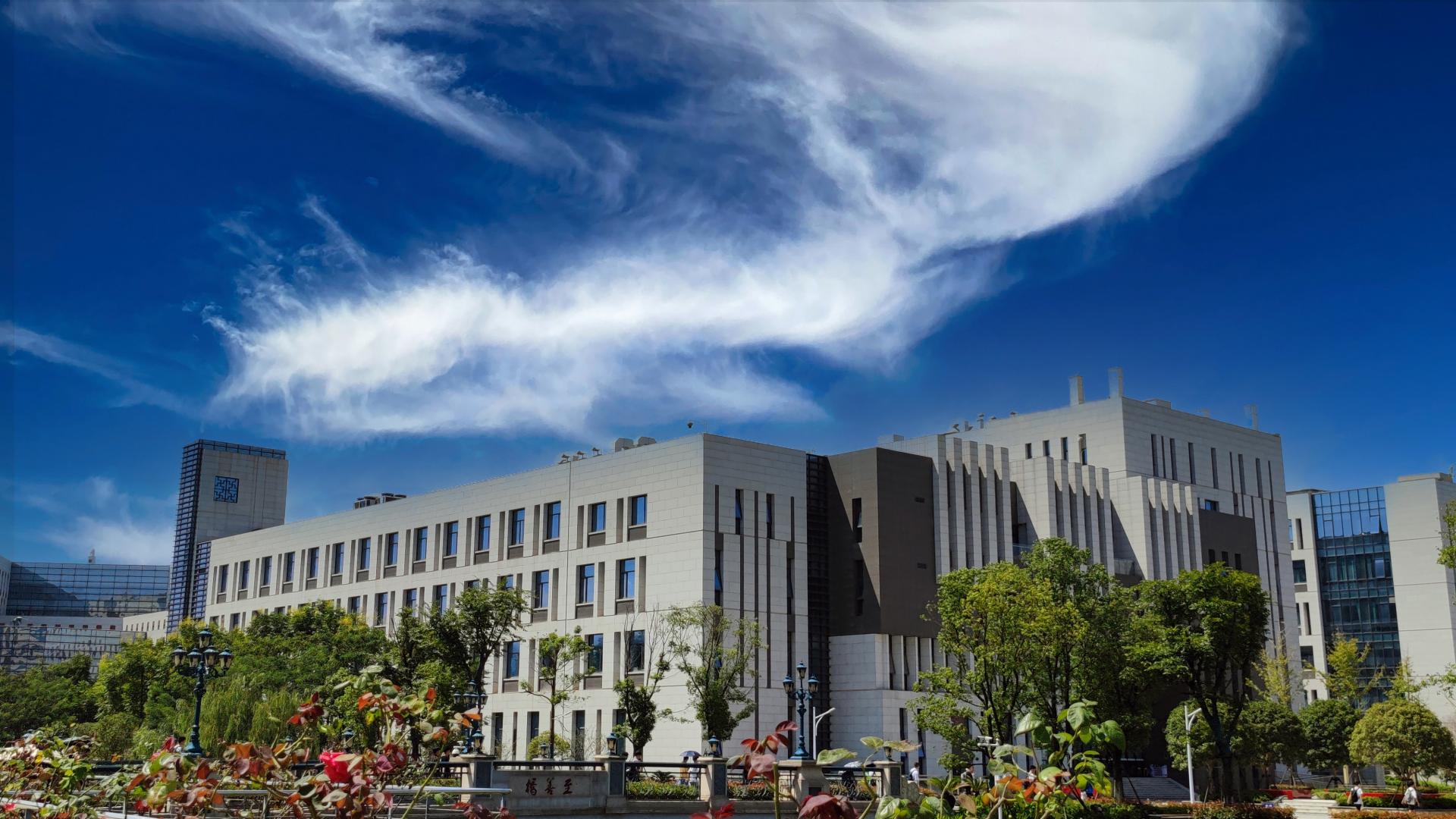 规模质量协同发展，发挥好高教龙头作用