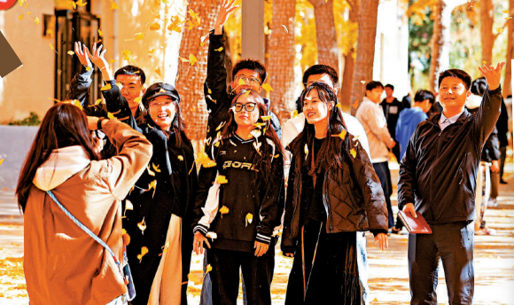 彩叶“上街”挂枝头 散步骑行两相宜