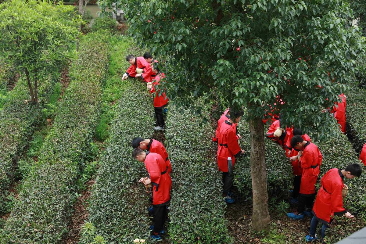劳动教育莫要变了味