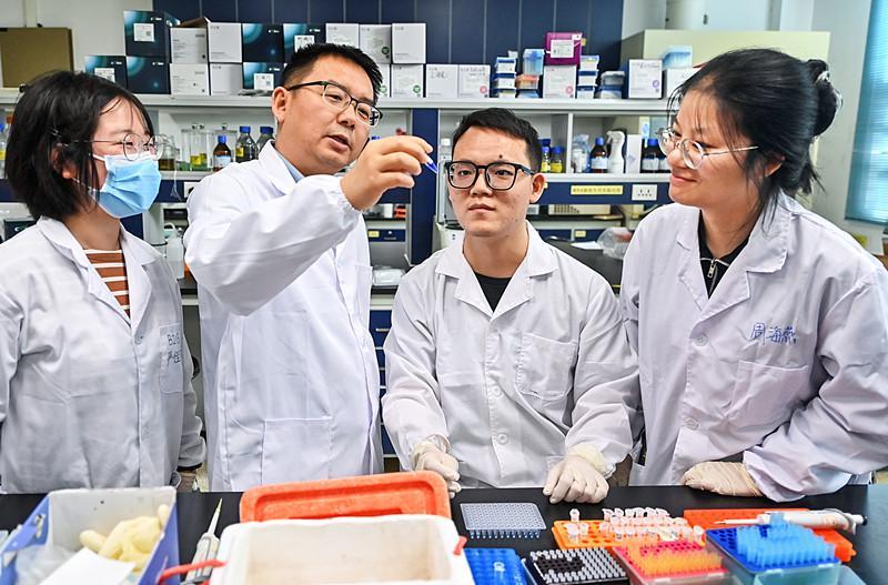 科研人员为培育宜机收玉米品种找到新“钥匙”