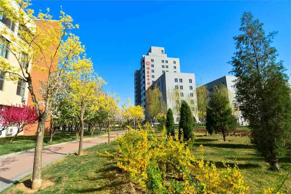 完善教育体系 培育大国工匠