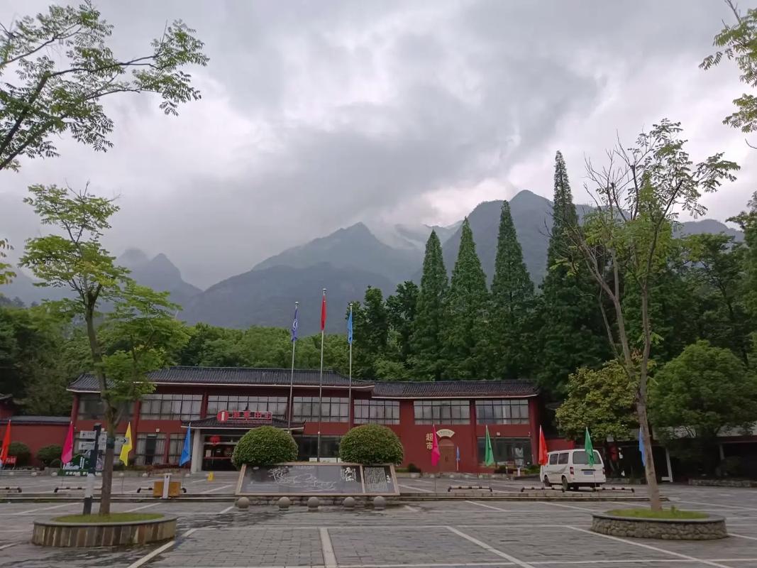 让更多优质艺术资源直达乡村