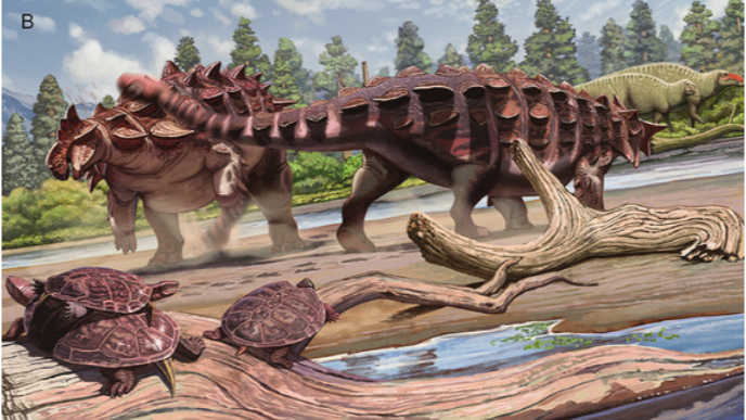 江西一恐龙化石被认定为新物种