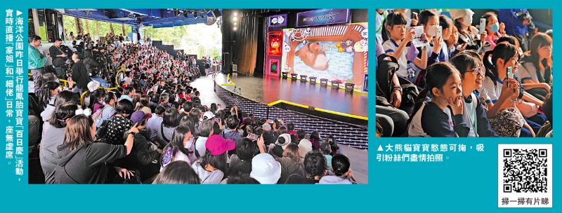 港產大熊貓龍鳳孖寶百日慶 直播賣萌萬人迷