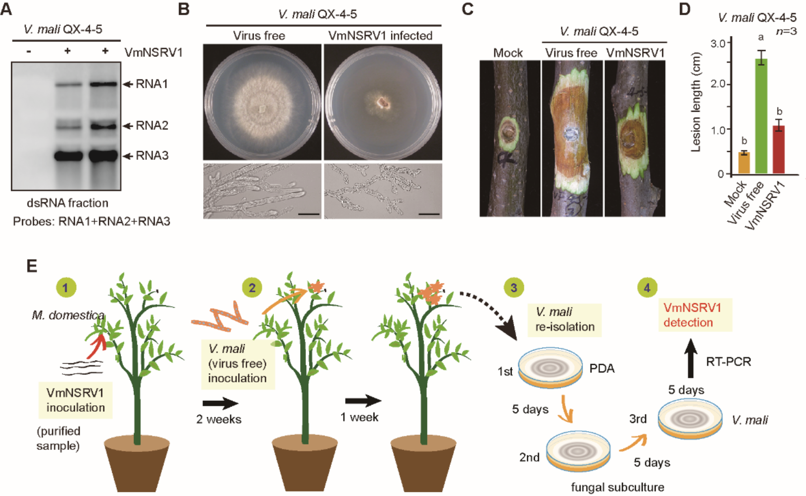 作物逆境生物学博士生学术论坛举行