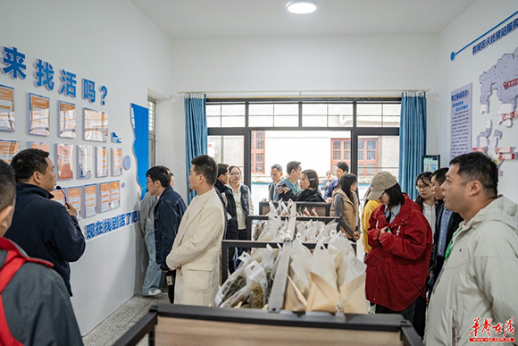 常德是個好地方丨村頭有萬畝示範田，家門口有「零工驛站」