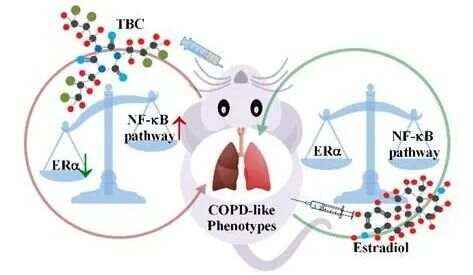 一种注射疗法比类固醇治哮喘更有效