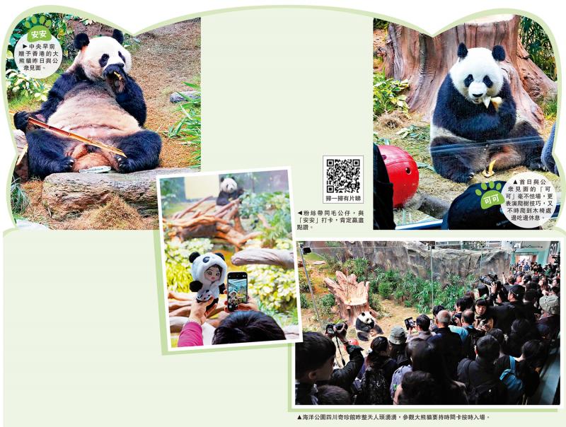 安安可可粉絲多 遊客：會再來探望