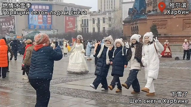 哈尔滨下雪了