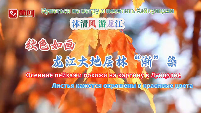 秋色如画 龙江大地层林“渐”染