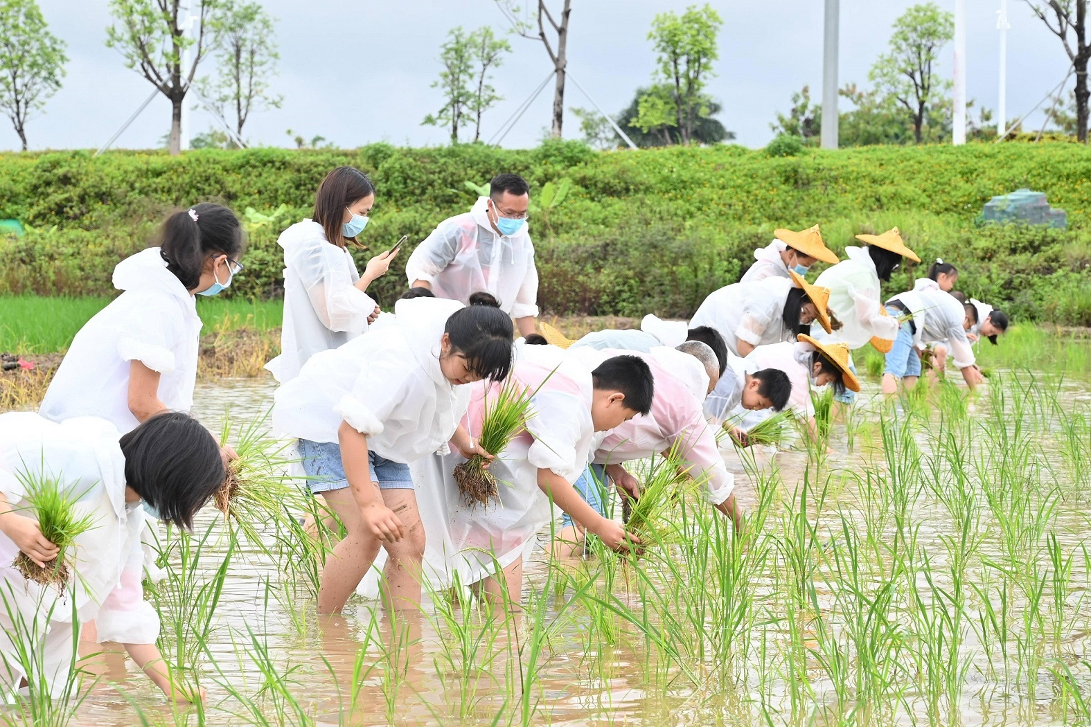 农业研学应“研”之有道