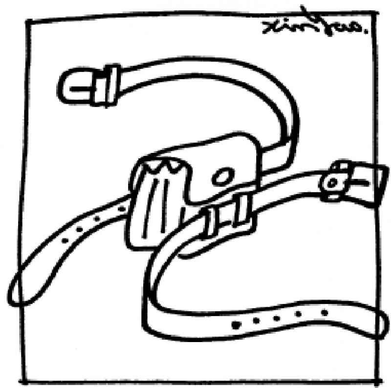 漫条思理\郑辛遥