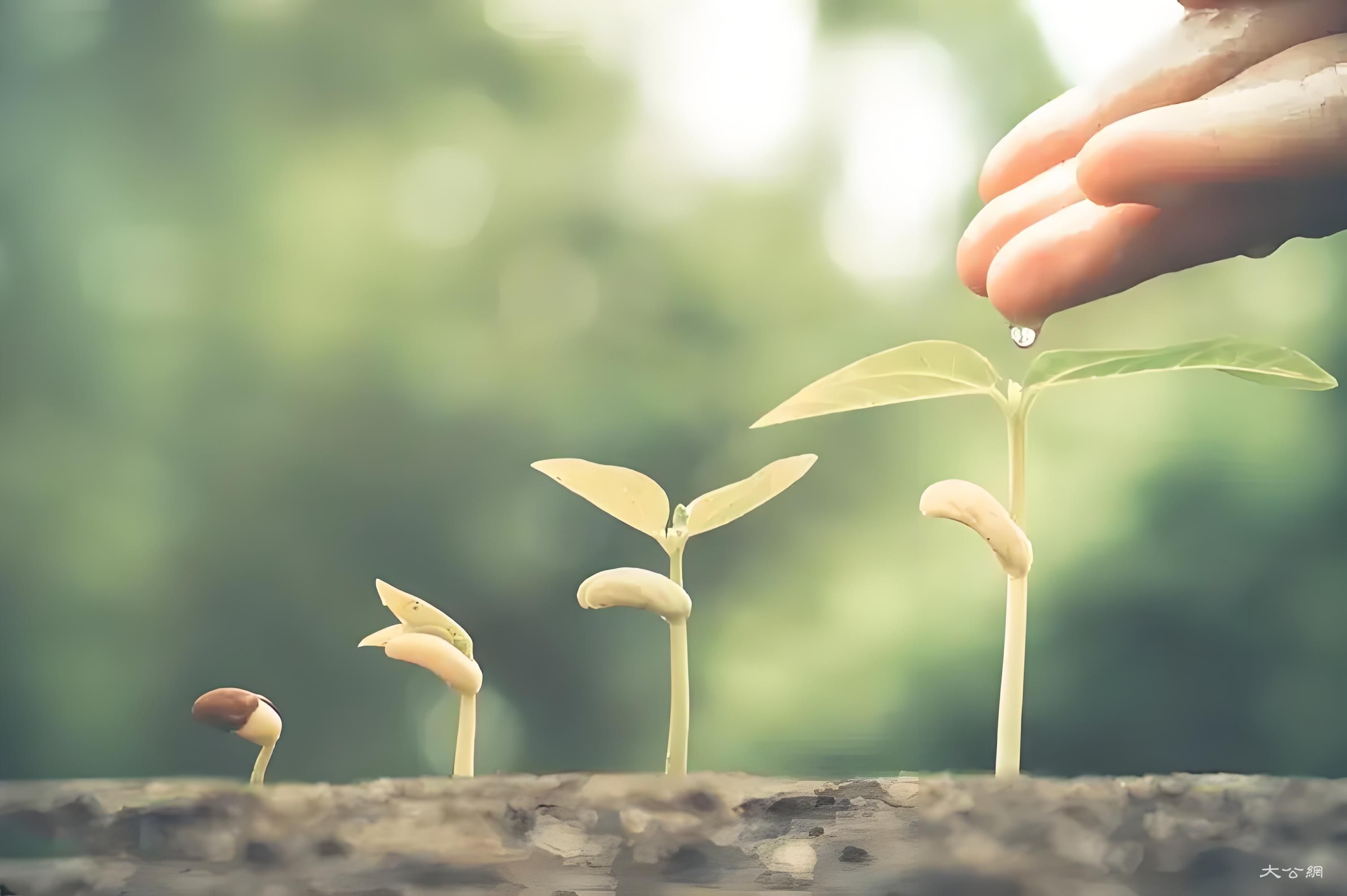 给学生心灵埋下真善美的种子