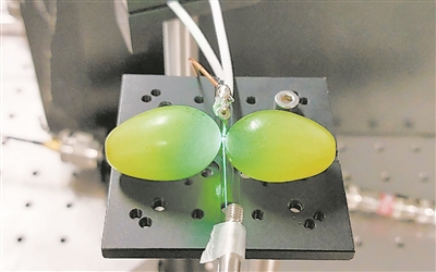 葡萄能提高量子传感器性能