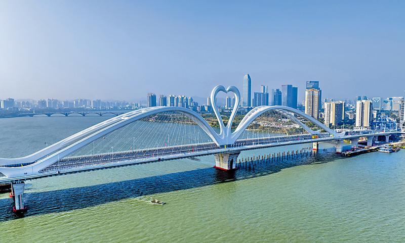 乐住湾区1/惠州盘受港人追捧　代理：65%入市为养老