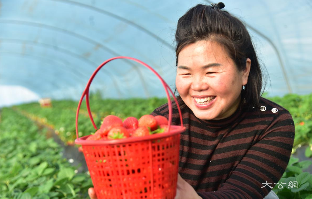 河南杞县：温棚种植点亮“致富梦”