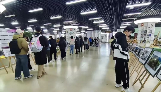 甘肃武山奏响发展 “奋进曲” 魅力走向世界