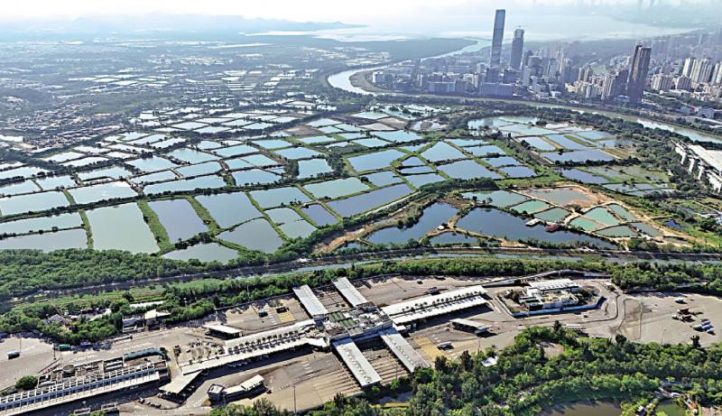 香江畔的思索/推动制度创新 为湾区发展开新局\洪 雯