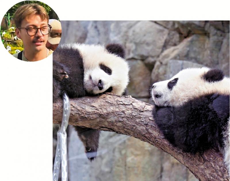 1500元細賞熊貓龍鳳胎 遊客∶性價比高