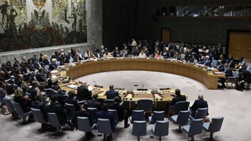 安理会通过涉乌克兰问题决议 呼吁立即结束冲突