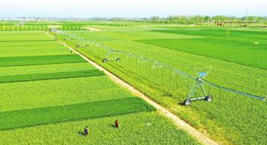 2025年“三农”重点任务有哪些？河南咋落实