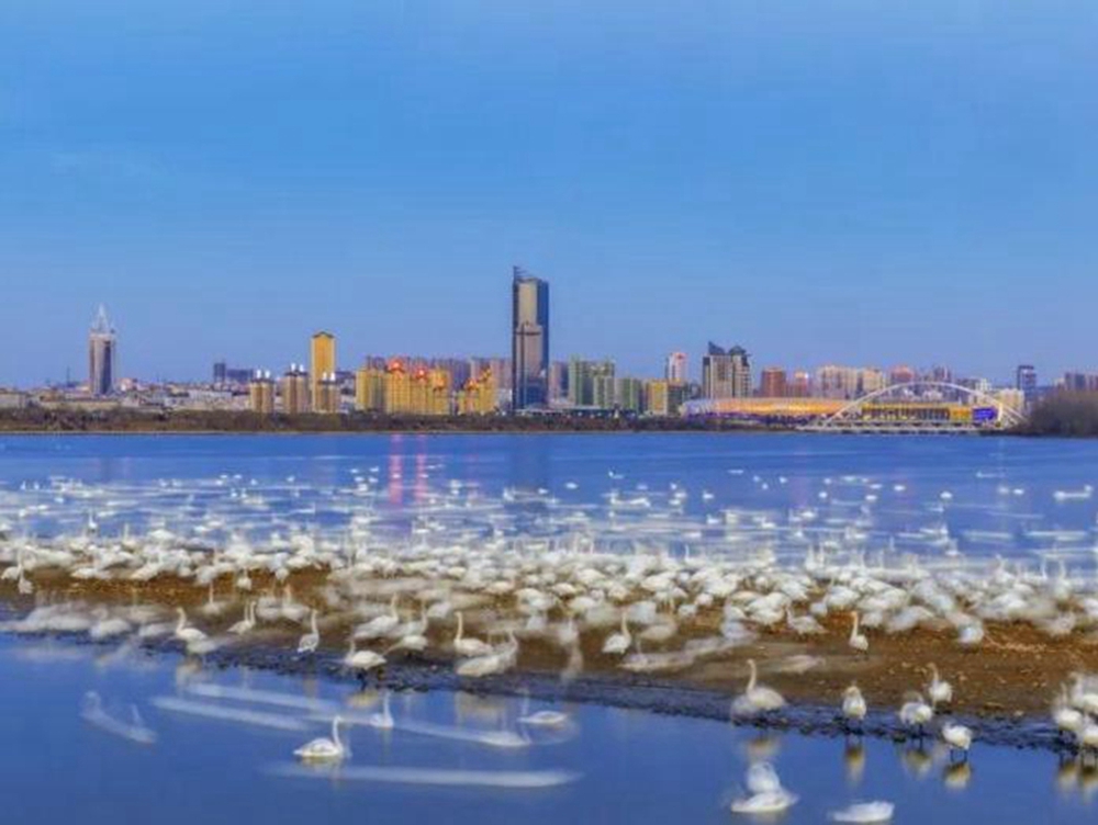 黄河岸边崛起一座产业新城——河南三门峡向“新”突围记