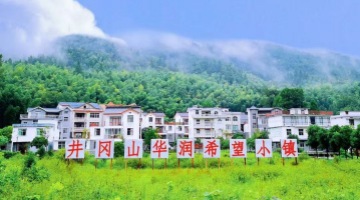 华润置地发布ESG品牌“GROW生生不息”：践行企业可持续发展，助力构建美好城市