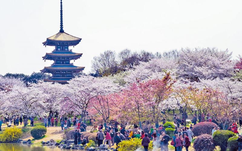 復活節將至 逾90%旅客想參加內地高鐵遊