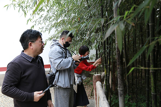 港澳台及華文媒體記者走進君山島：煙波柳影探君山 洞府明珠湘妃淚  