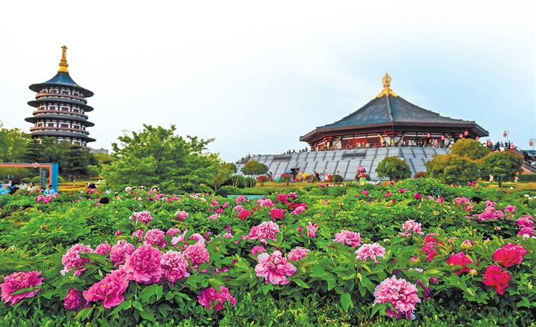 河南文旅春意浓浓人气旺