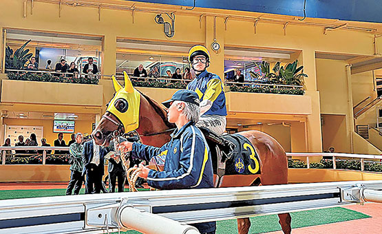 賽馬場+夜生活　香港跑馬地這樣玩才過癮！